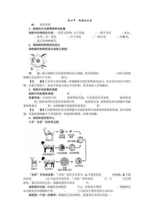 人教版生物七年级上册第二单元第一章第四节《细胞的生活》课堂练习