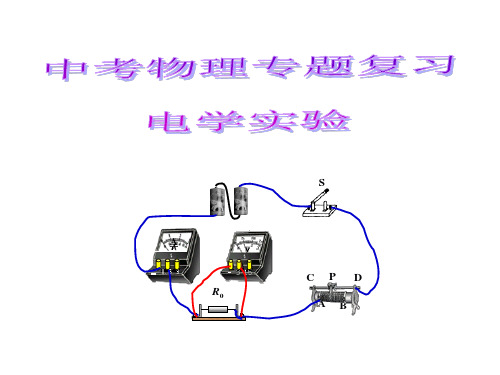 中考物理专题复习---电学实验专题复习