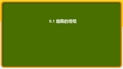 细胞的增殖 高一上学期 高一上学期生物人教版必修1