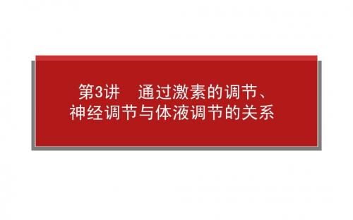 高考生物一轮复习课件：3.1.3通过激素的调节、神经调节与体液调节的关系