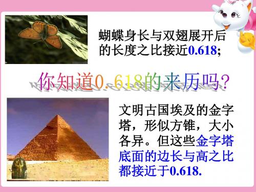 数学：4.1《比例线段》课件3(浙教版九年级上)