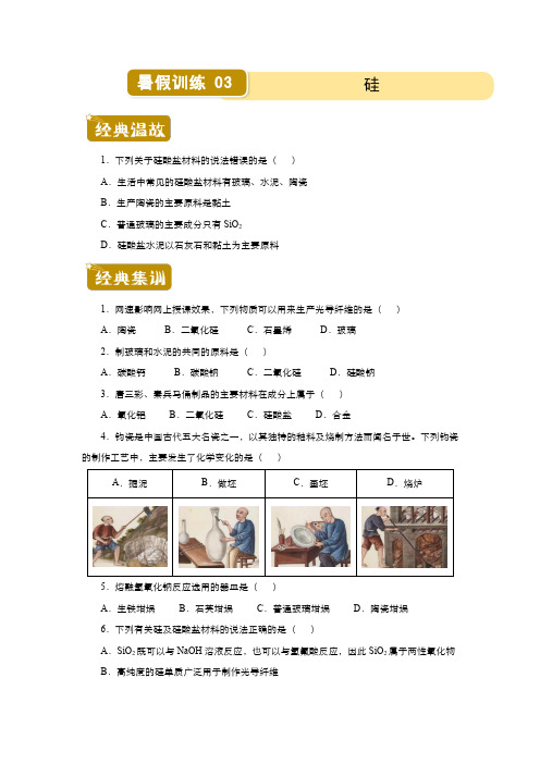 化学新教材高一暑假作业3硅(含答案)