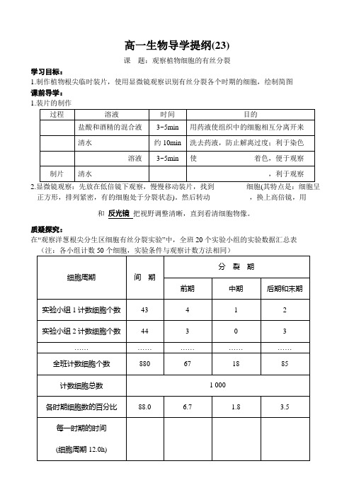 观察植物细胞的有丝分裂