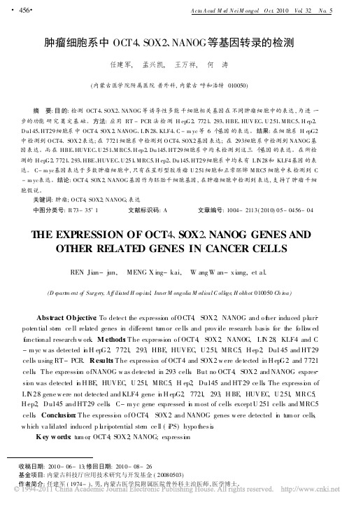 肿瘤细胞系中OCT4_SOX2_NANOG等基因转录的检测