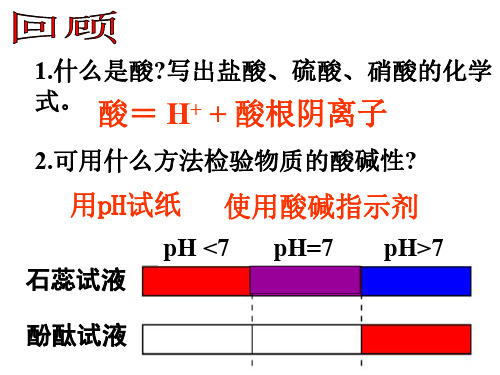 第三节探索酸的性质--浙教版-P