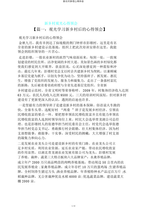 新农村参观心得体会