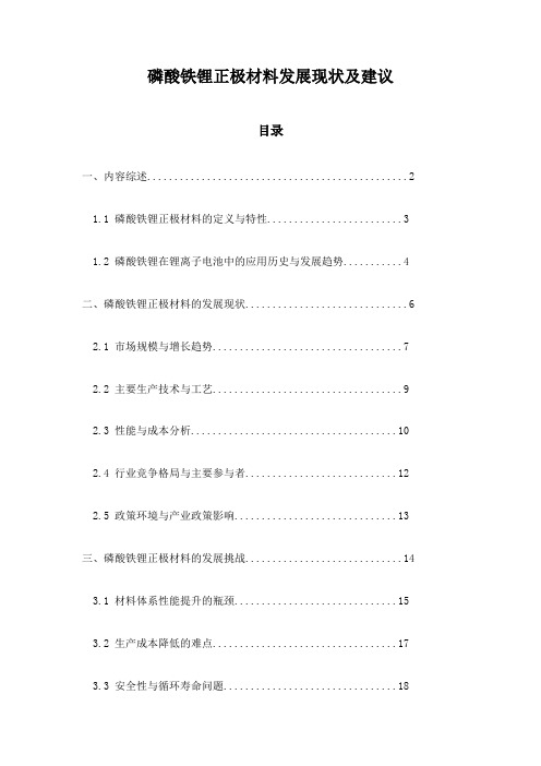 磷酸铁锂正极材料发展现状及建议