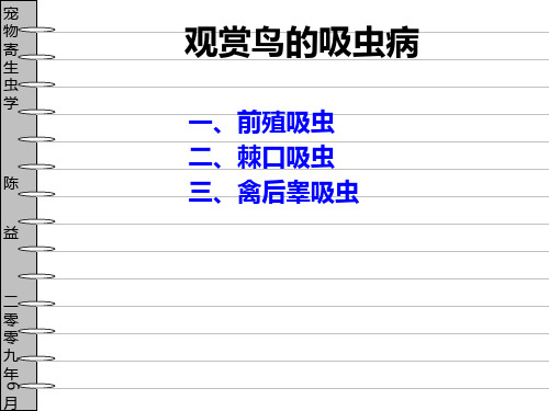 观赏鸟寄生虫部分PPT课件