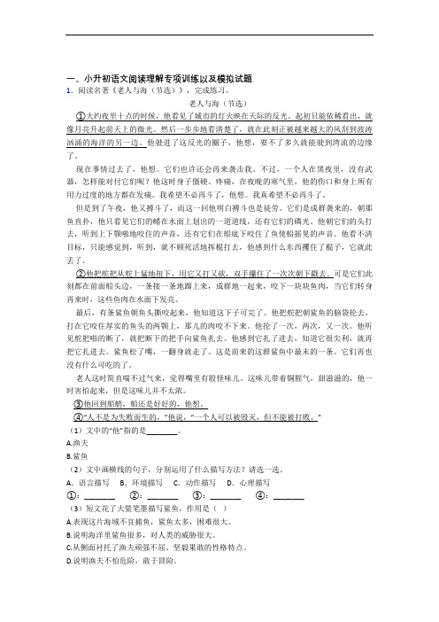 【阅读理解专项】最新人教部编小升初语文综合模拟试题【6套试卷】(1)