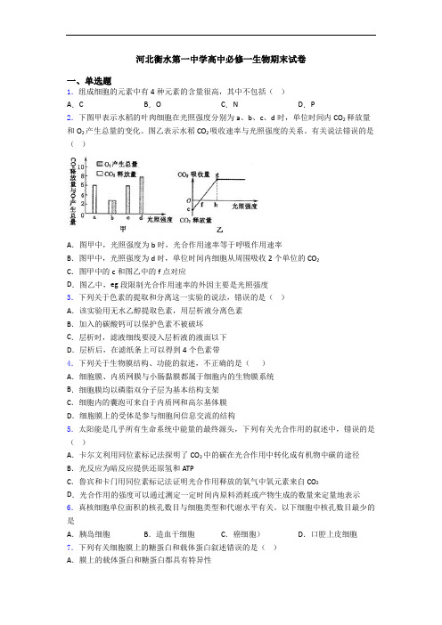 河北衡水第一中学高中必修一生物期末试卷