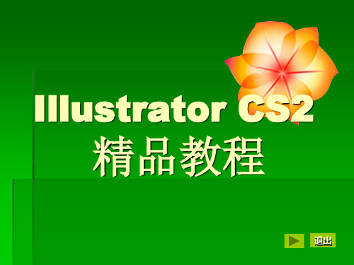 IllustratorCS2精品教程完整版教学课件 整套教程电子讲义(最全最新)