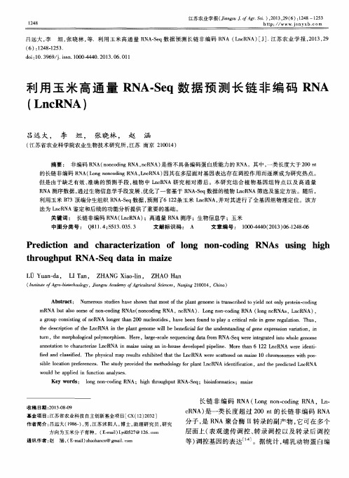 利用玉米高通量RNA-Seq数据预测长链非编码RNA(LncRNA)