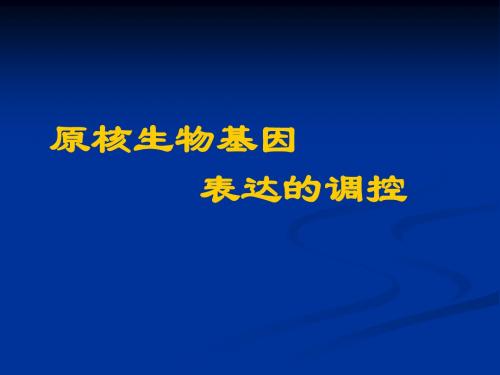 原核生物基因表达的调控