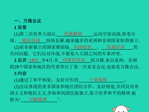 春九年级历史下册第五单元冷战和美苏对峙的世界第19课亚非拉国家的新发展课件新人教版