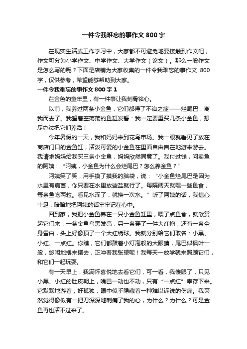 一件令我难忘的事作文800字