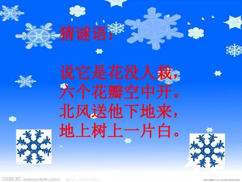 课文17雪地里的小画家ppt