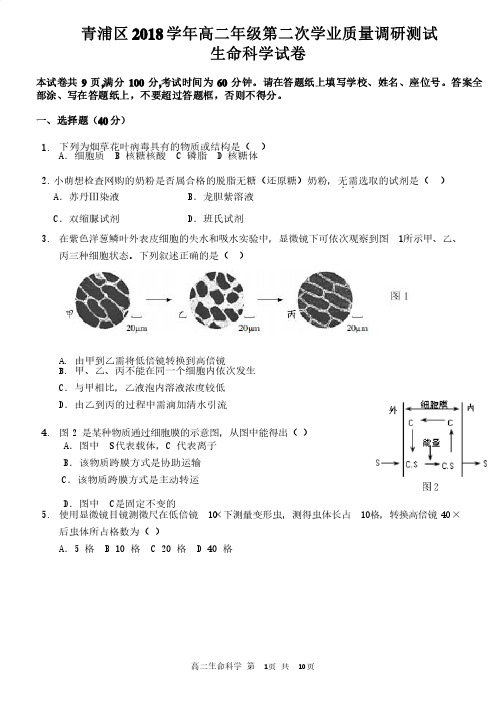 上海市青浦区2018-2019学年第二学期高中（二模）等级考调研测试生命..