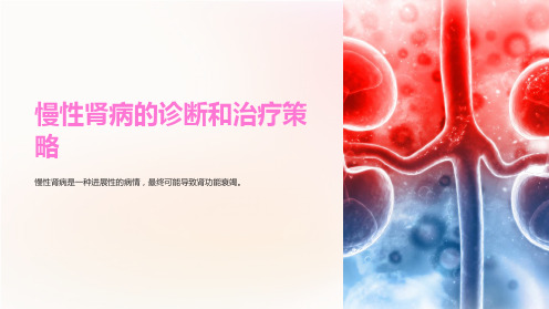 肾内科学课件：慢性肾病的诊断和治疗策略