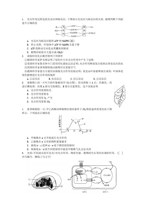 杨浦恒高教育五角场最好补习班高中生物光合作用强化提高