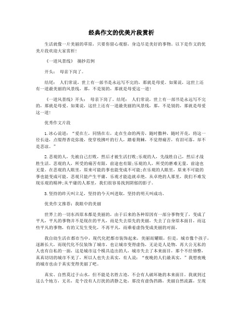 经典作文的优美片段赏析