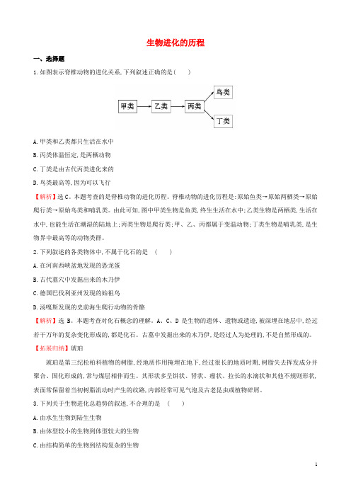 八年级生物上册 5.16.2 生物进化的历程同步训练题(含解析)(新版)苏教版