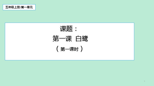 人教部编版五年级语文上册第一课《白鹭》课件