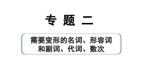 2024杭州中考英语二轮复习 专题二 第2讲 形容词和副词(课件)