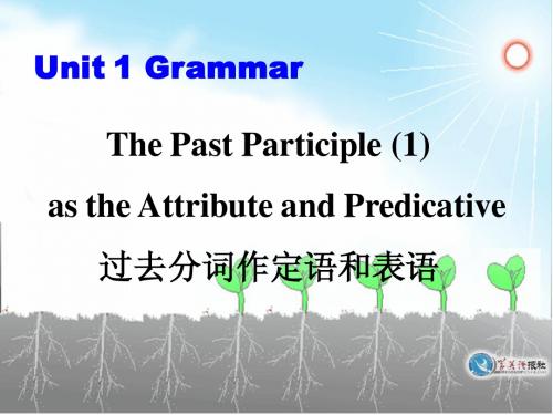 过去分词作定语和表语_Grammar