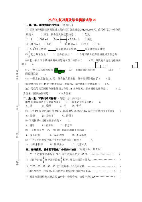 小升初数学复习题及毕业模拟试卷22(无答案) 人教版