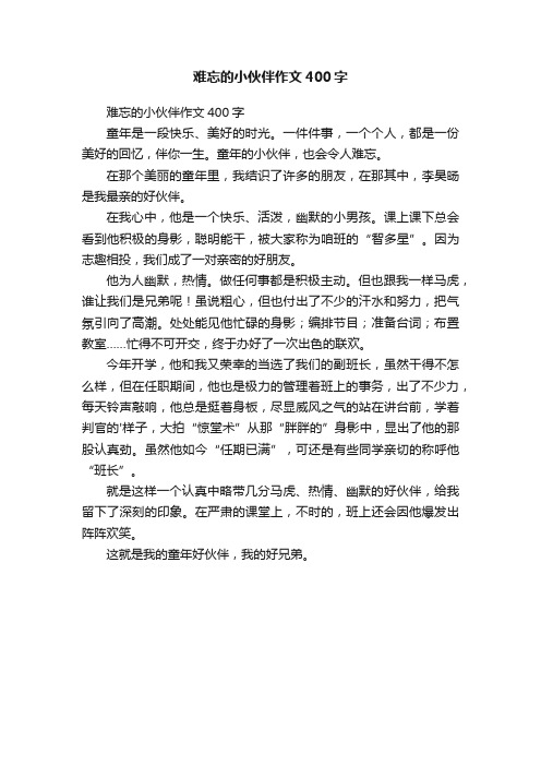 难忘的小伙伴作文400字