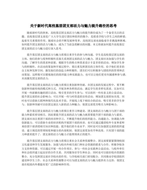 关于新时代高校基层团支部活力与魅力提升路径的思考