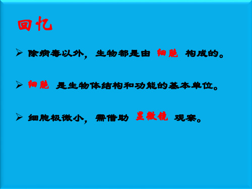 新人教版七年级生物上册使用显微镜课件课件