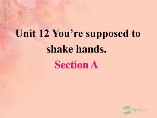 九年级英语上册 Unit 12《You are supposed to shake hands》Section A 课件 人教新目标版