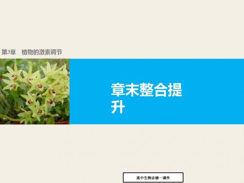 高二生物人教版必修3课件：第3章_植物的激素调节_章末整合提升