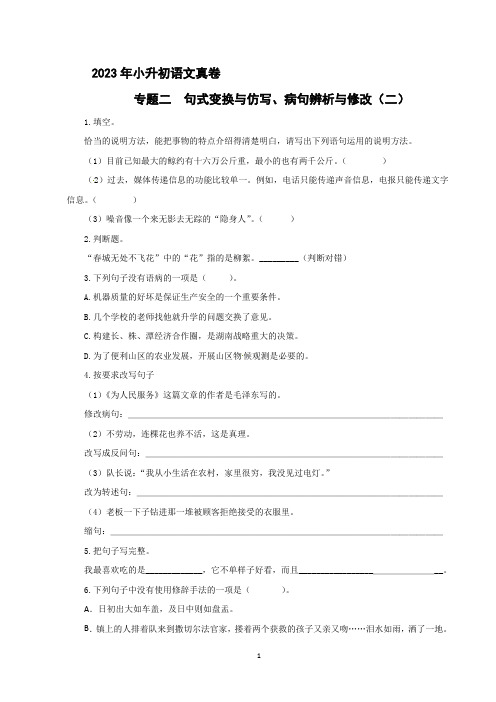 小升初语文专题二 句式变换与仿写、病句辨析与修改(二) (原卷+答案与解释)