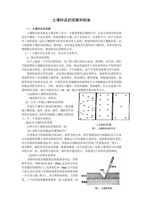 土壤样品的采集和制备