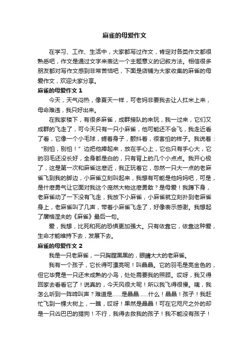 麻雀的母爱作文