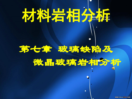 第七章玻璃岩相分析