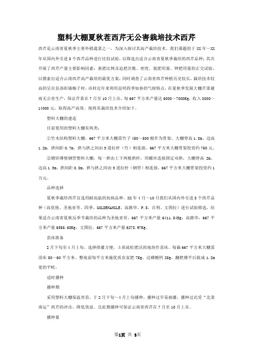 塑料大棚夏秋茬西芹无公害栽培技术西芹