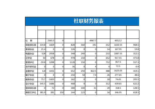 大学社联财务报表Excel模板