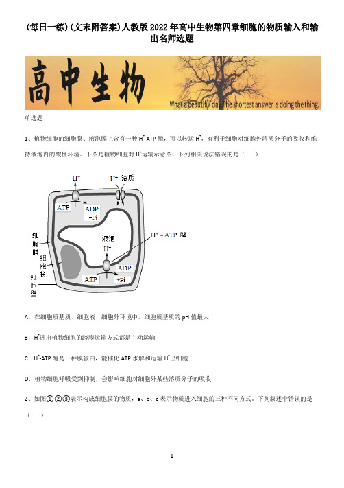 (文末附答案)人教版2022年高中生物第四章细胞的物质输入和输出名师选题