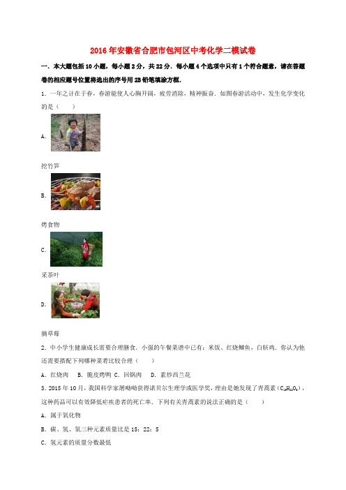 合肥市包河区中考化学二模试卷(含解析)