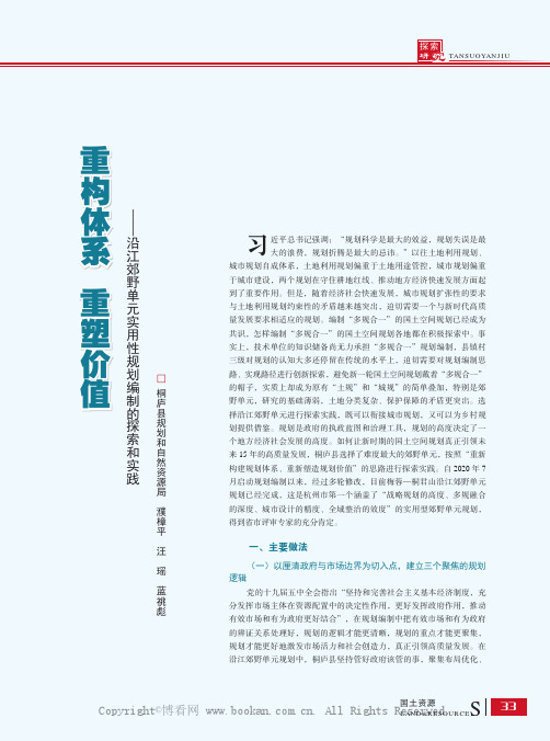 重构体系 重塑价值——沿江郊野单元实用性规划编制的探索和实践