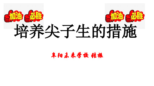 培养尖子生的措施 阜阳未来学校 张振