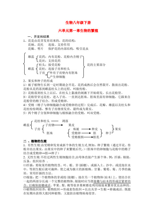 八年级生物下册复习提纲(李端自编)冀少版