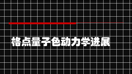 格点量子色动力学进展.pptx