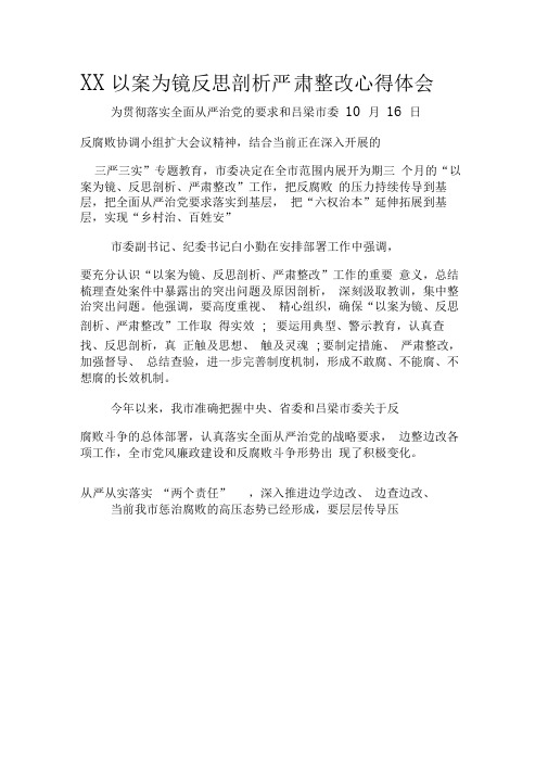 XX以案为镜反思剖析严肃整改心得体会