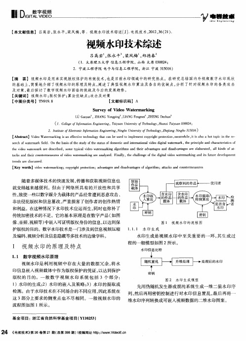 视频水印技术综述