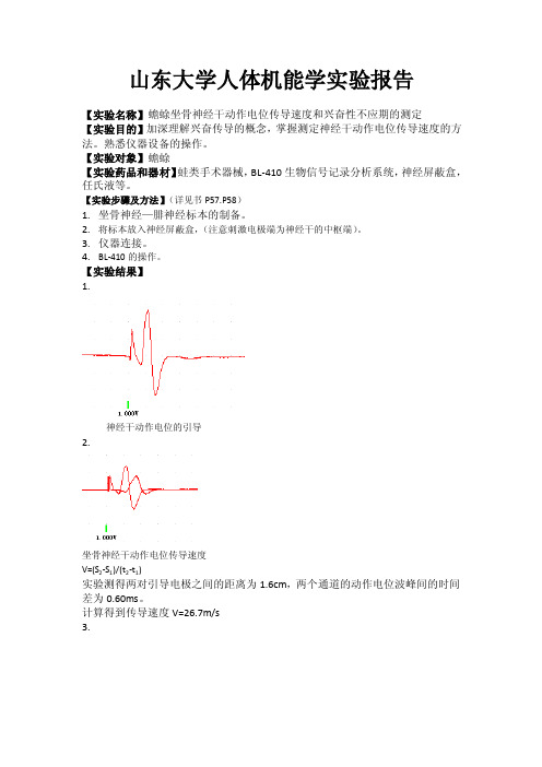 山东大学人体机能学报告之蟾蜍神经干