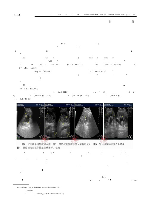 肾结核的超声表现及病理的临床分析